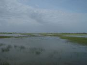 DSCN0230