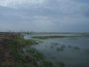 DSCN0229