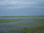 DSCN0232