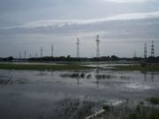DSCN0235