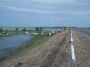 DSCN0240