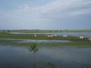 DSCN0244