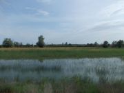DSCN0252