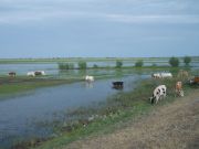 DSCN0245