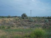 DSCN0290