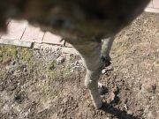 IMG 7797