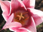  035
