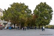 IMG 2662