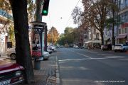 IMG 2885