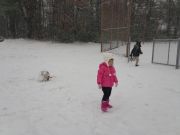 IMG 5855
