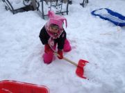 IMG 5956