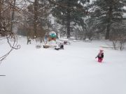 IMG 6854