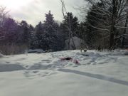 IMG 7023