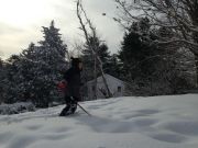 IMG 7032