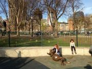 IMG 7777