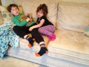 IMG 7852