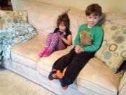 IMG 7861