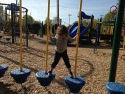 IMG 7961