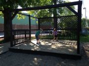 IMG 8485