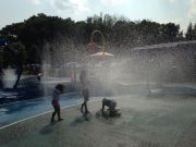 IMG 0333
