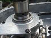 IMG 0271