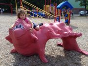 IMG 0985