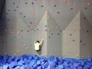 IMG 1184