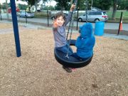 IMG 1537