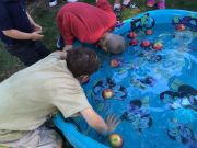 IMG 0348
