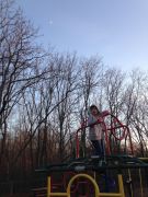 IMG 4239