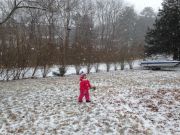 IMG 4393
