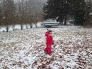 IMG 4396