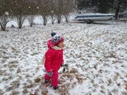 IMG 4406