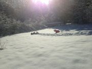 IMG 4492