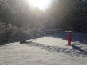 IMG 4494