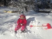 IMG 4517