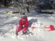 IMG 4519