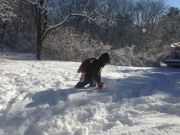 IMG 4526