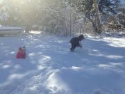 IMG 4528