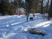 IMG 4555