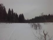 IMG00109