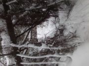 IMG00115