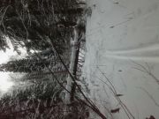 IMG00116