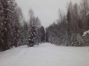 IMG00120