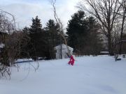 IMG 4649