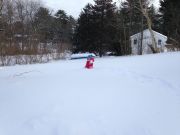 IMG 4652