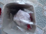 DSC00784