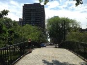 IMG 6473