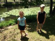 IMG 6484