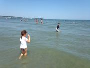 IMG 6539